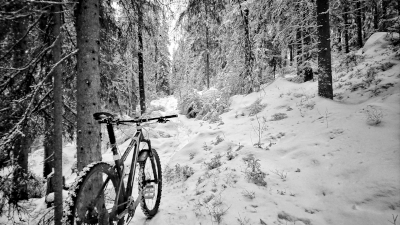 talvimtb